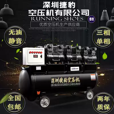 Auto repair high pressure pump air compressor small oil-free silent decoration industrial grade air compressor 220V spray paint