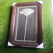 Guizhou Triassic Sea lily fossil Paleontology Fossil specimens of marine animals