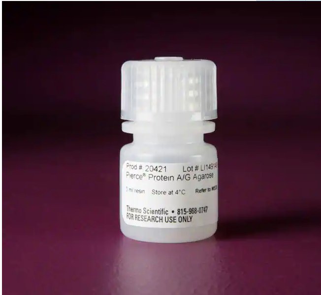 thermo 20421 赛默飞Pierce蛋白Protein A/G 琼脂糖