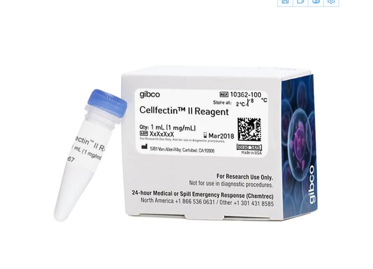 thermo赛默飞Cellfectin II reagent转染试剂10362-100