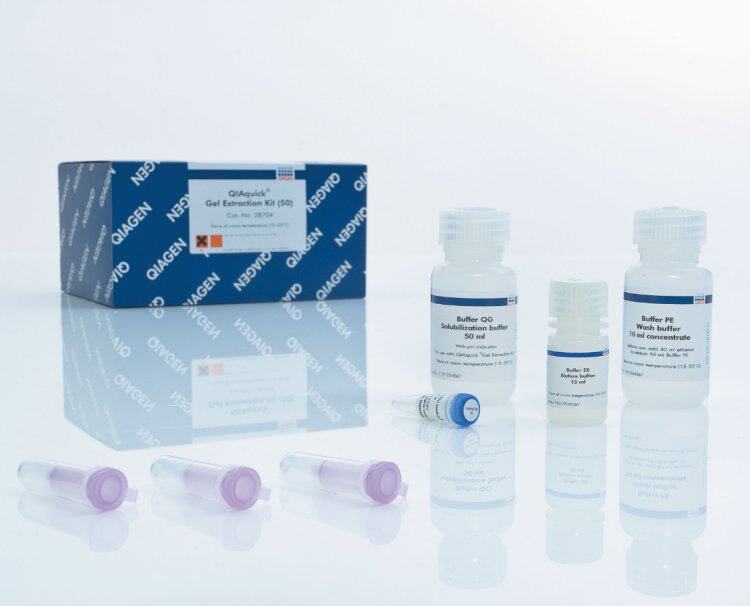 Qiagen 28704 28706胶回收试剂盒QIAquick Gel Extraction Kit (2