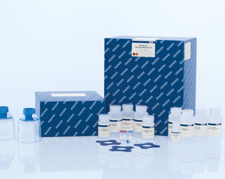 Qiagen 990352经消毒的一次性过滤吸头Filter-Tips, 1000 ul (102
