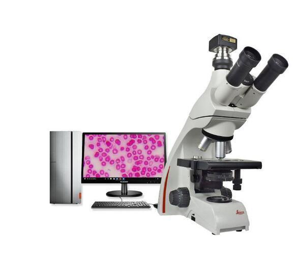 Leica徕卡DM500生物显微镜正置双目三目显微镜
