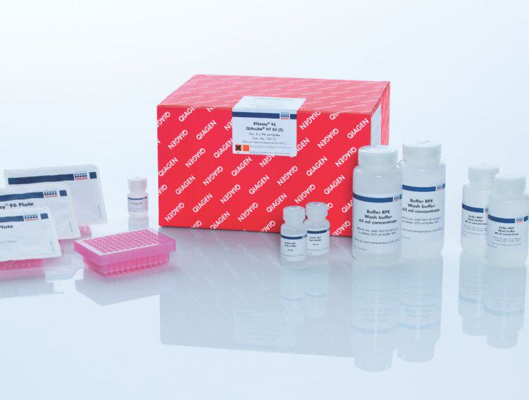 QIAGEN 208352 208356试剂盒QuantiNova Probe RT-PCR Kit优势