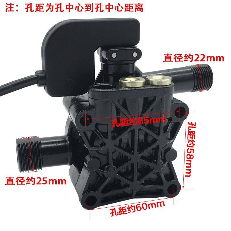 Portable Car Wash Machine Pump Head Assembly for Home Use 220V Cleaning Machine Black Cat White Horse Model Accessories