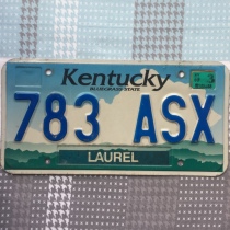 US license plate Kentucky Kentucky 783-ASX Foreign old Tin collection Bar wall Painting