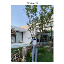 Resurrection DORACTR Japan imported triacetate frosted texture without side seam cut design straight casual pants