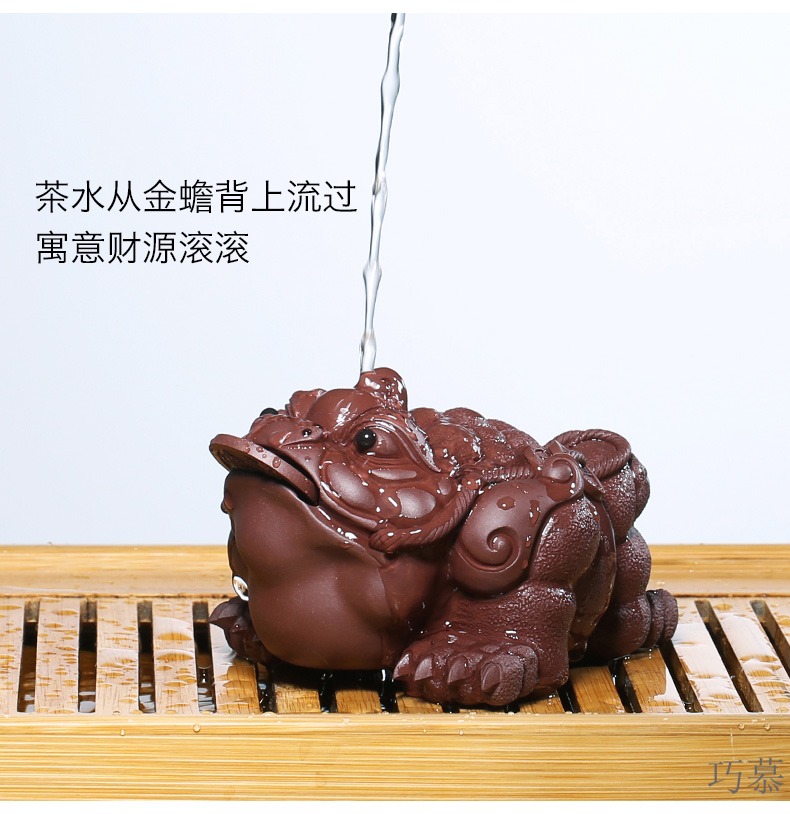 Qiao mu YH purple sand sculptors to hide old checking purple clay golden toad tea pets play tea furnishing articles