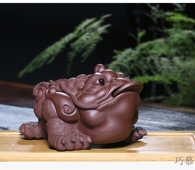 Qiao mu YH purple sand sculptors to hide old checking purple clay golden toad tea pets play tea furnishing articles