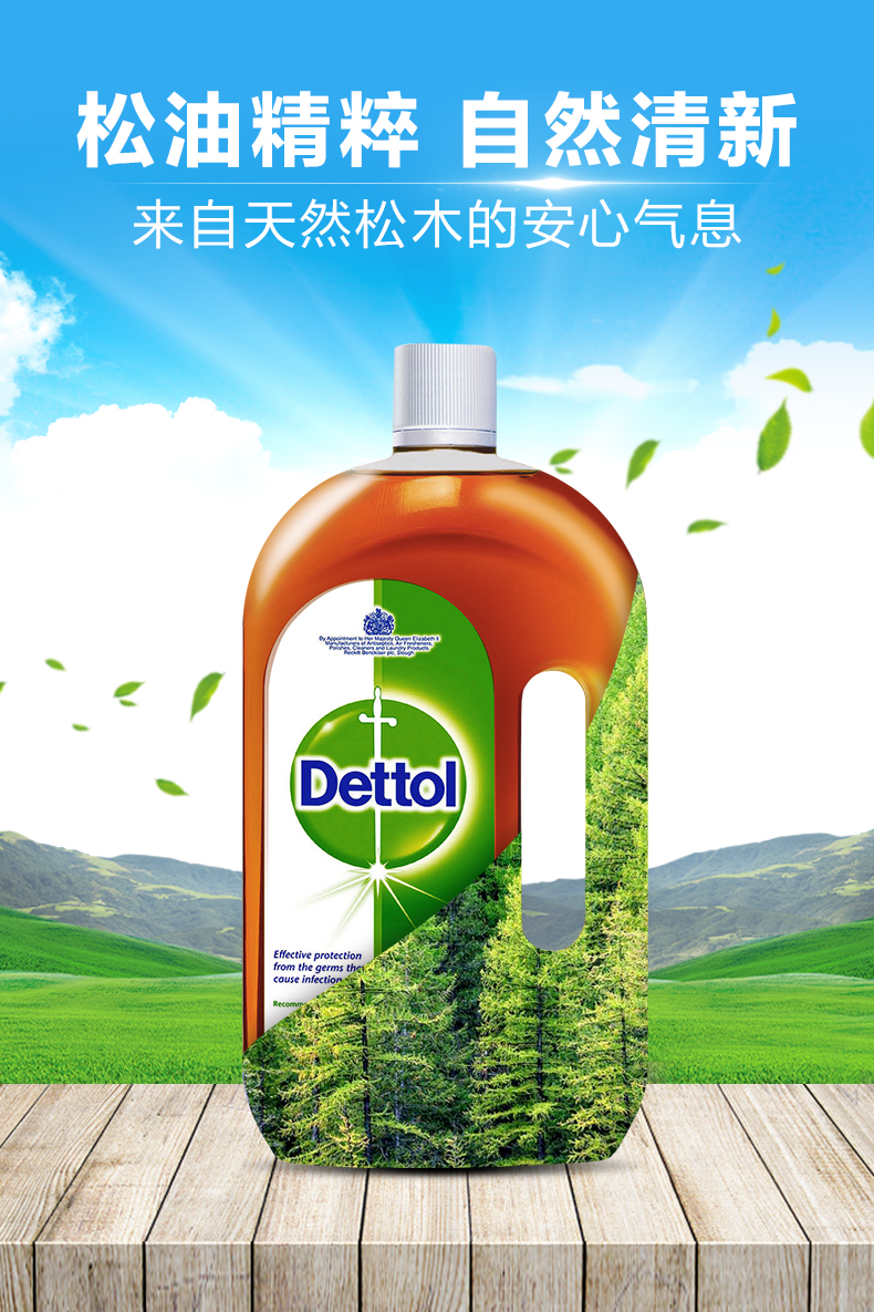 滴露 杀菌消毒液 2L 图9
