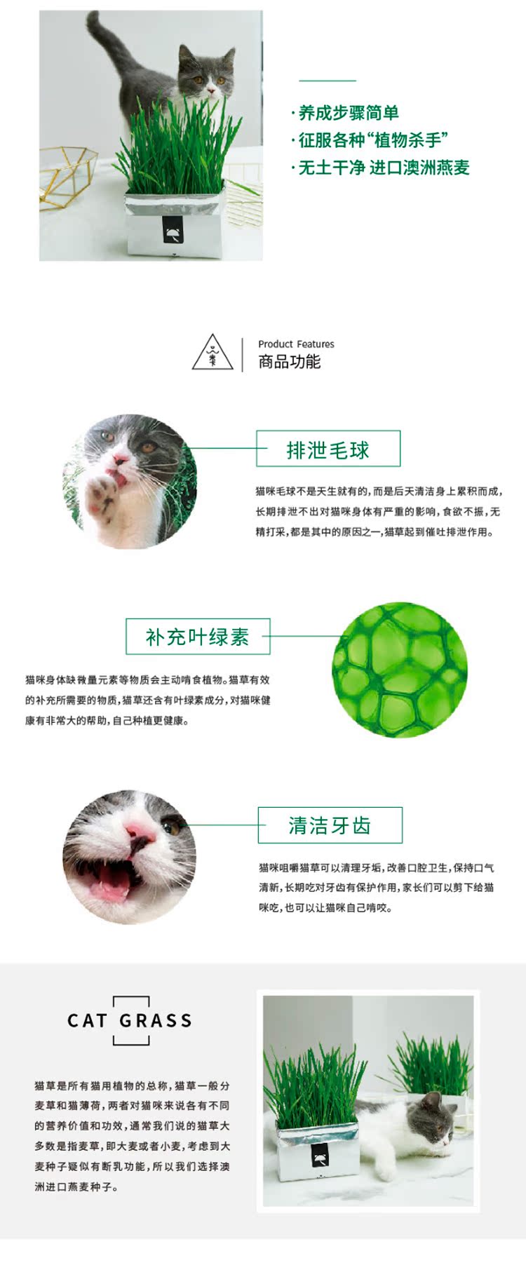 Vetreska Cat Grass New Vol1_02.jpg