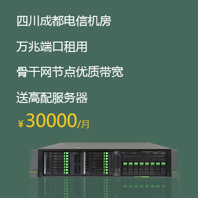 10,000 trillion-port rented server server configuration can be configured according to customer requirements