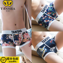 Trend mens underwear boxer shorts pure cotton underwear mens cotton summer personality sexy four-sided shorts breathable pants