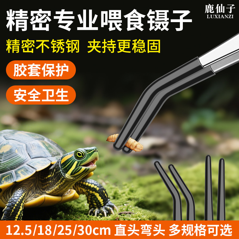 鹿仙子喂龟喂食镊子乌龟守宫蜥蜴矽胶喂食加长精密不锈钢弯头夹子