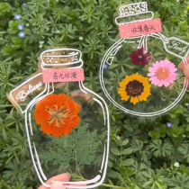 Handmade DIY transparent sticker glass bottle creative dried flower bookmark bottle spring collection leaf specimens