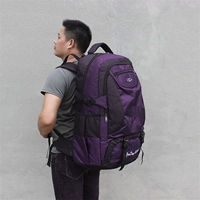 Фиолетовый большой 85-л-спирт 50 кот