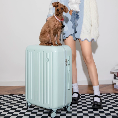 Универсальный прочный чемодан для путешествий, 20 дюймов