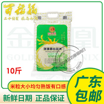 Golden Phoenix Zengcheng Xiangzao Mie 5KG Pot Rice With Long Grain rice 10 catty of late grain rice New rice Cantonese