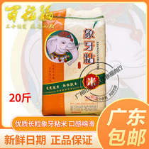 Golden Phoenix Ivory Sticky Rice 10KG Long Grain Long Grain Rice New Rice 20 Catty Rice Guangxi Rice Rice Pot rice Cantonese
