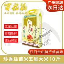 Taishan Zhenxiang Silk Miao 5-star 5KG Taishan specialty long-grain fragrant rice high-end silk seedlings Guangdong