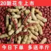 Red peanuts peanuts shelled raw rice four red peanut seeds high yield seeds fresh dried planting 5 pounds