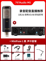 M5 Standard+Arturia Minifuse 1 Set