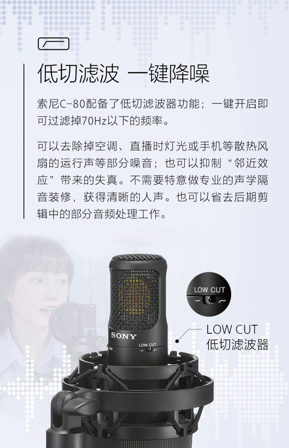 Sony/索尼C-80/100插图9