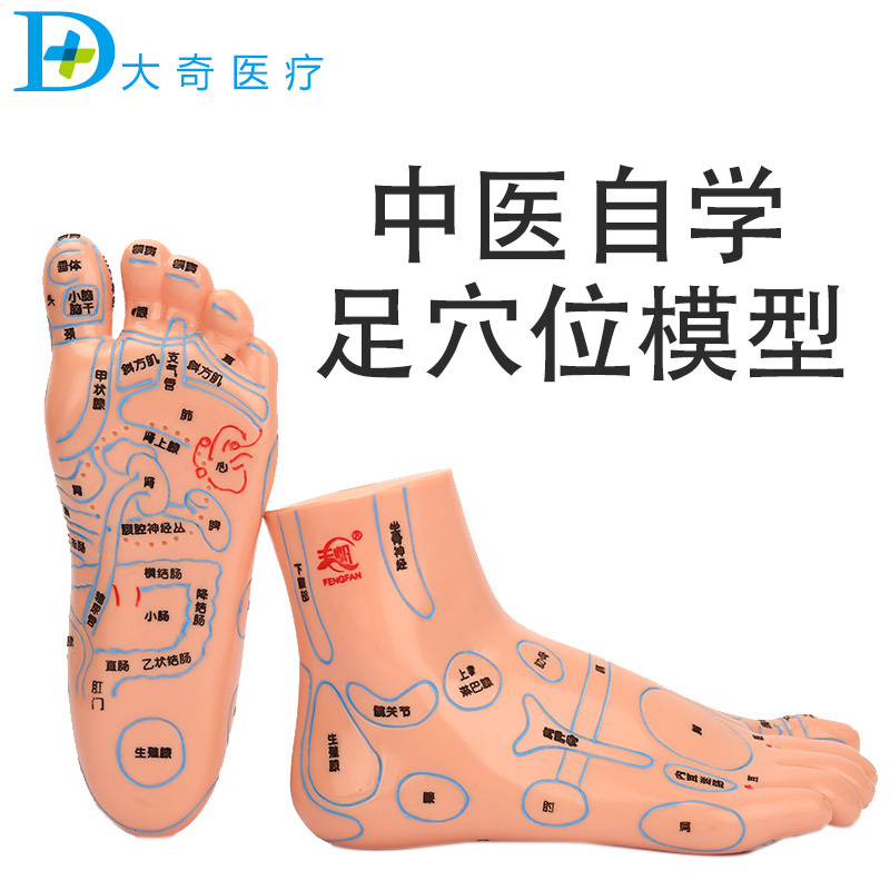 Engraved foot foot foot foot foot foot foot foot foot sole of the reflection area Massage push the foot sole point point tool