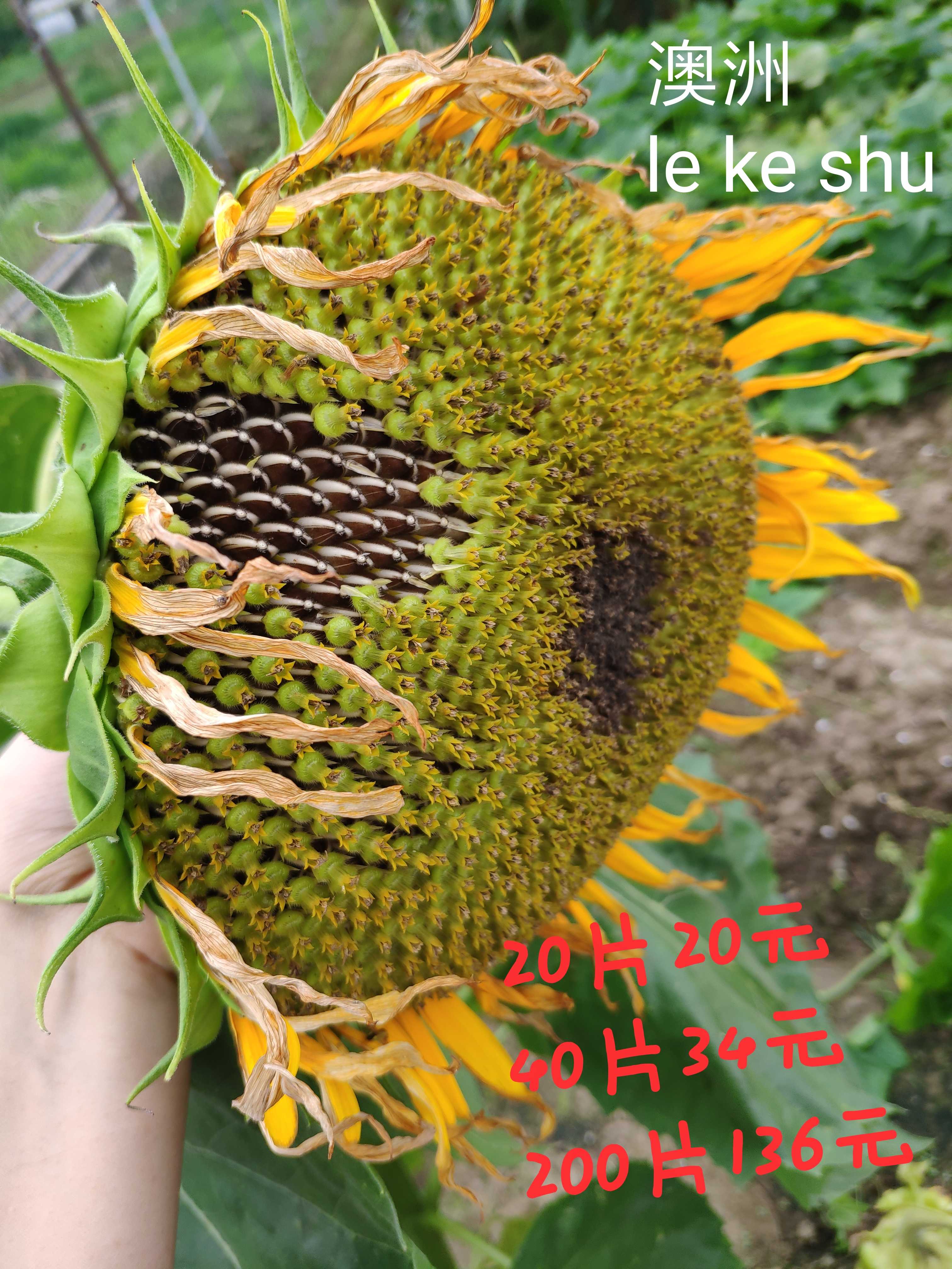 Spot old customer special shooting