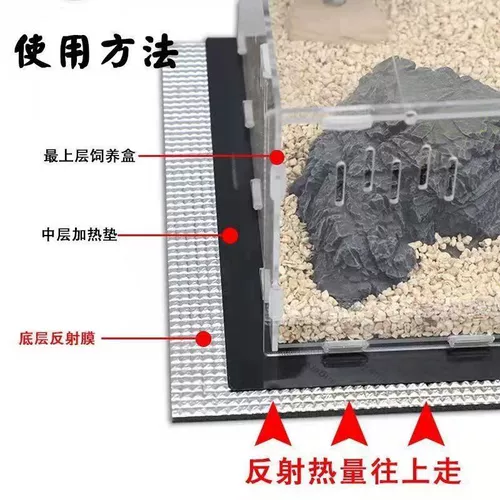 Китайская черепаха маленькая черепаха Живое Существо долголетие черепаха богатство декоративная черепаха вода Золотая нить черепаха Трава трава черепаха Семейство Семейство