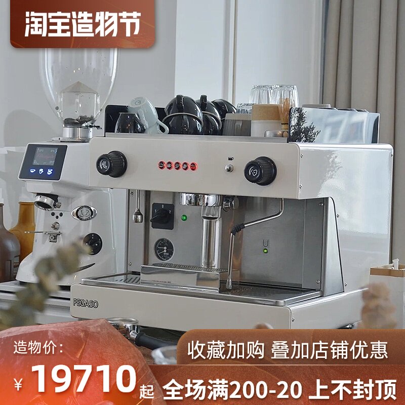 WEGA Picasso pegaso coffee machine single head e61 professional Italian semi-automatic high cup electronic control extraction Commercial