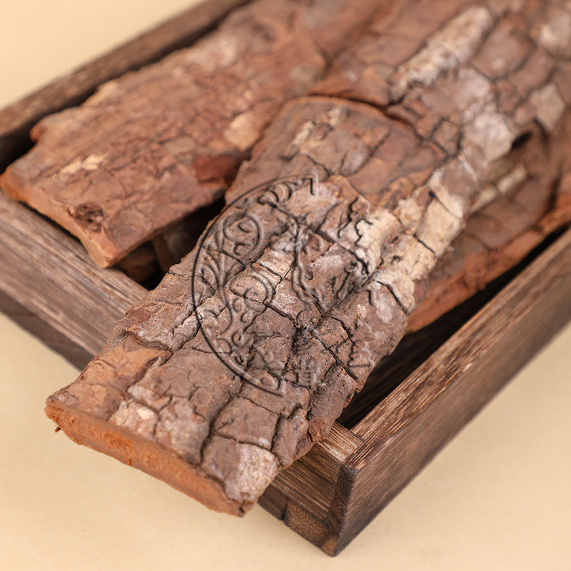 Cabinda bark Angola men's tonic bubble wine extra thick men's old tree with cynomolgus cistanche