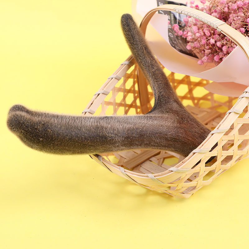 Antler Whole Branches Dry Stubble stubble Two bars Northeast Changbai Mountain Deer Township Middle-aged Men Nourish a Brew Business Gift Box