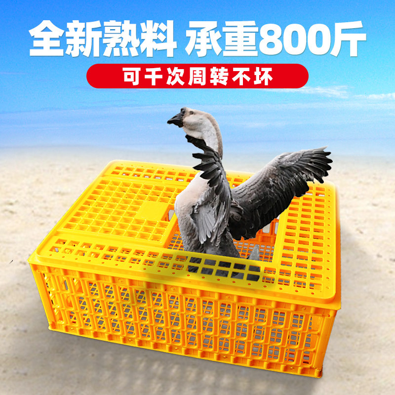 Transport chicken cage thickened chicken transfer box Extra large transfer basket Duck goose pigeon cage Household chicken basket Plastic chicken cage