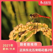 Dad evaluates authentic Wuchang Daohuaoxiang No. 2 rice 5kg bag 2021 New Rice 10kg month * 12 months