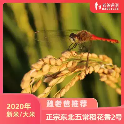 Dad evaluates authentic Wuchang Daohuaoxiang No. 2 rice 2020 new rice 10kg month * 12 months