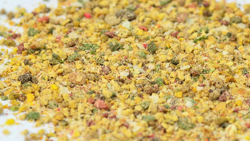 新手和饵进阶技巧,爆护从这开始