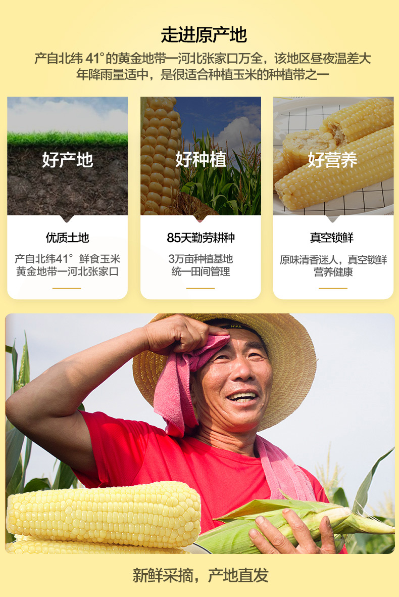 盒马生鲜 穗康白糯玉米220g*10 图3