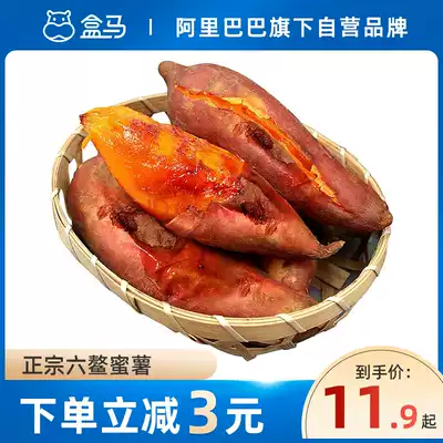 (New potato listed) box Ma Liuao honey potato 3kg 5kg fresh Sweet Potato Sweet Potato Sweet Potato Sweet Potato