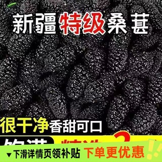新疆野生黑桑葚免洗无沙桑新疆桑葚干罐装特级大果直泡茶泡水