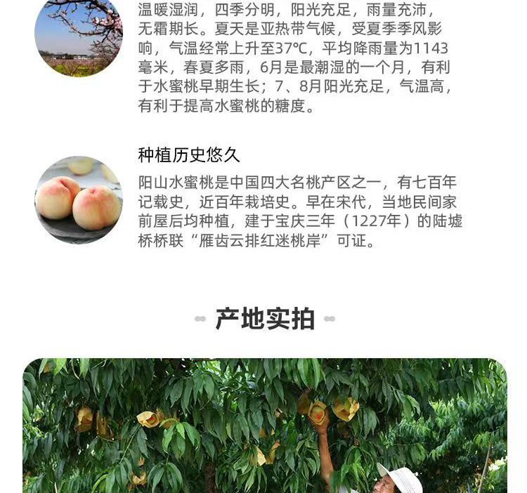 盒马生鲜 正宗无锡阳山水蜜桃 8枚礼盒装 单个200g+ 图8