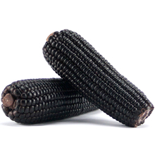 29.8元包邮   阿里巴巴旗下 淘乡甜  东北非转基因黑玉米10根