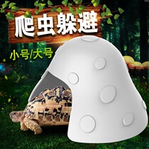 Mushroom hole evasion reptile box lizard box landscaping mushroom house decoration set to avoid decorative rainforest