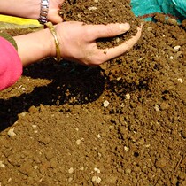 Soil planting potted potted soil flowers mud lotus pond soil mud sandy soil planted with vegetable yellow black earth pond field nutritional soil