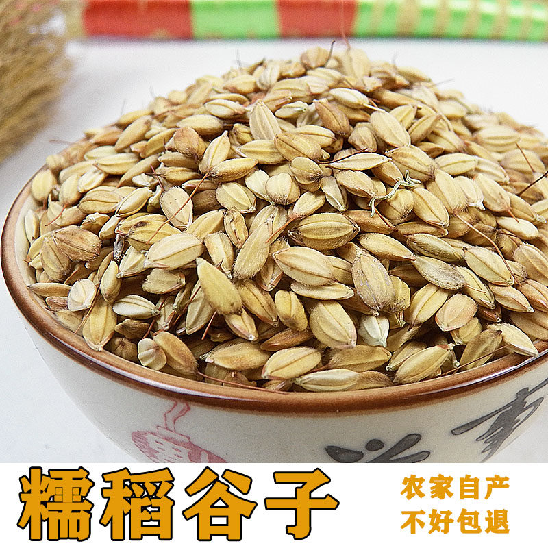 Shelled rice rice 250g fragrant round rice incense wedding into the new room to celebrate popcorn