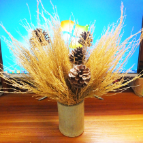 Dry Flower Dry Branches Retro Home Desktop Furnishing Art Deco Shooting Props Background School Weaving Teaching Materials