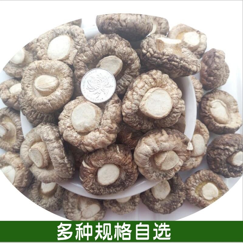 Shuhroom dry farmers select bulk cut and root bacteria thick mushroom mushroom special production of 1 kg