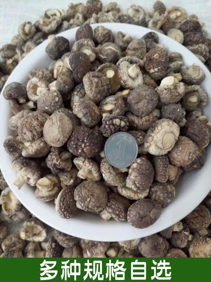 Coin-sized sleeve pearl mushroom boy mushroom new goods farmer's household dry goods shiitake mushroom restaurant catering tender mushroom diced 500g