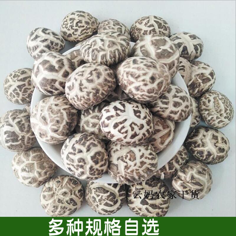 With state level 1 gift white flower mushroom produced by the local farmer non - rubber natural size fragrant mushroom 1 kg