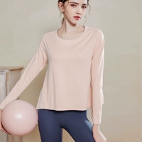 5109 смутный порошок